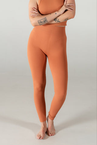 Banks Bottom Regular